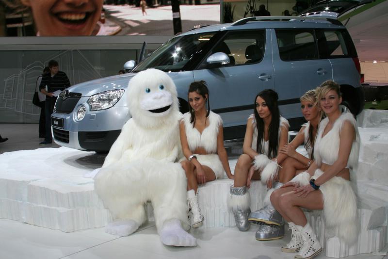 1_skoda-yeti-g.jpg