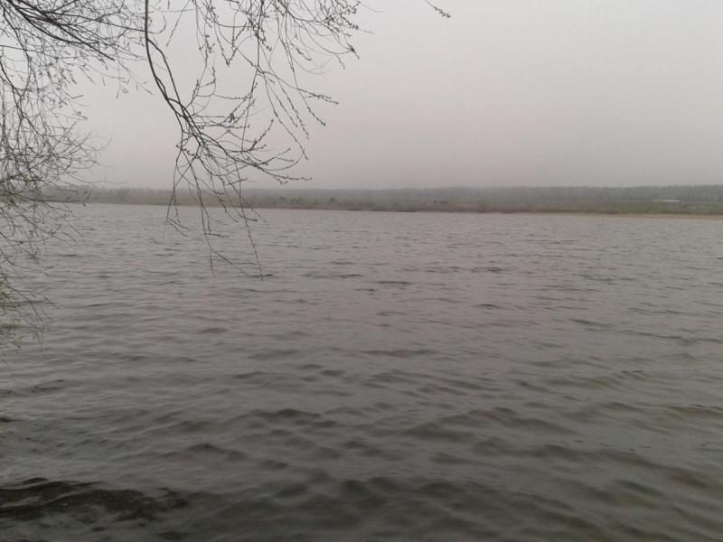 2016-04-25 11.19.02.jpg