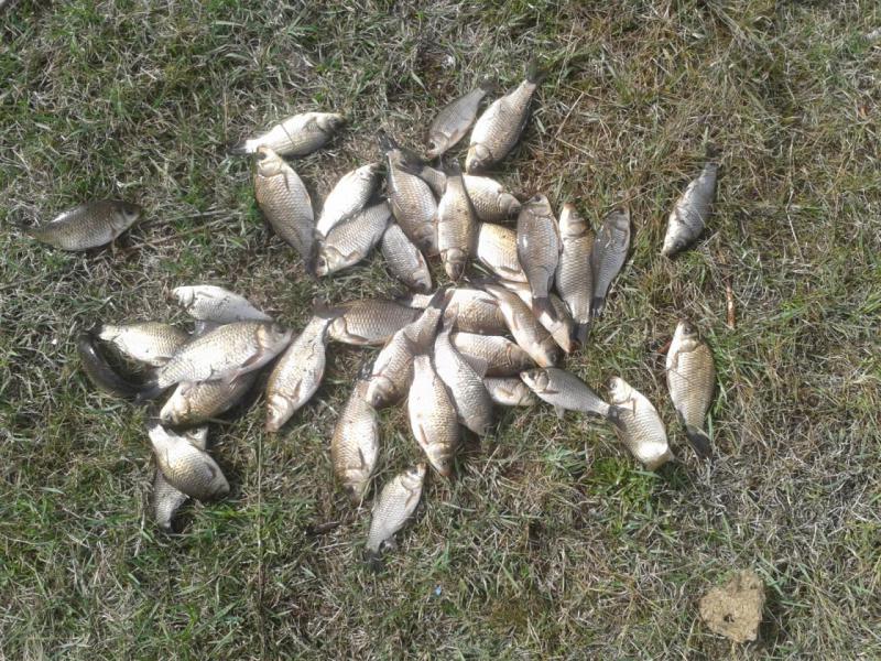 2016-04-26 15.53.19.jpg