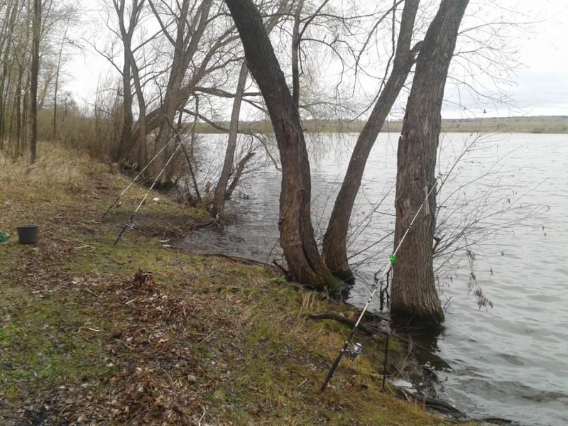 2016-04-25 12.55.52.jpg