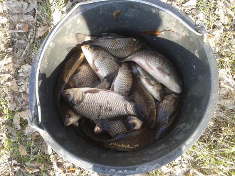 2016-04-25 18.21.08.jpg