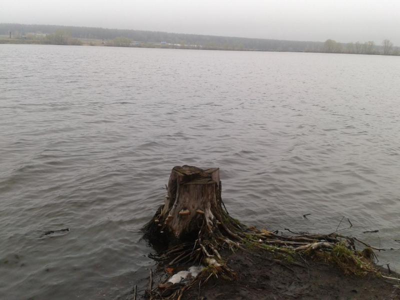 2016-04-25 11.18.38.jpg