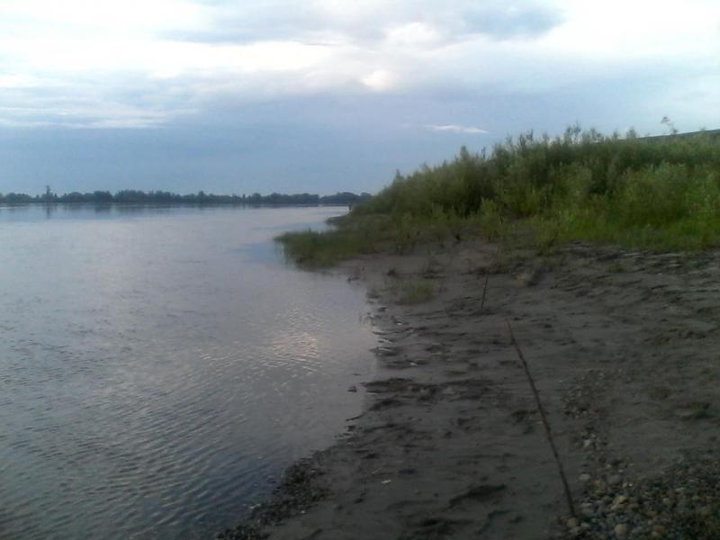 IMG_20160720_062716.jpg