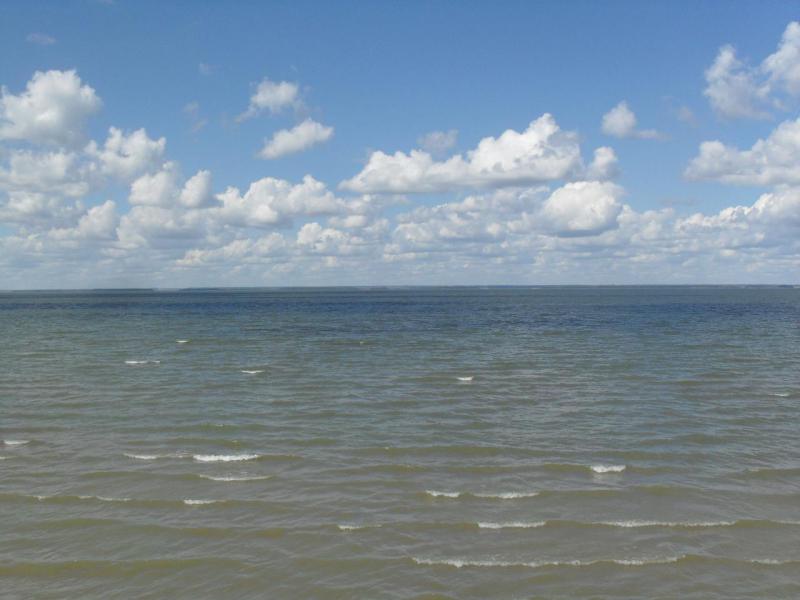 SDC13470.JPG