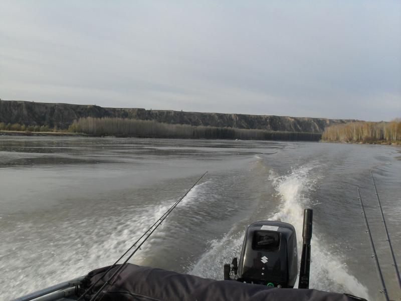 SDC13804.JPG