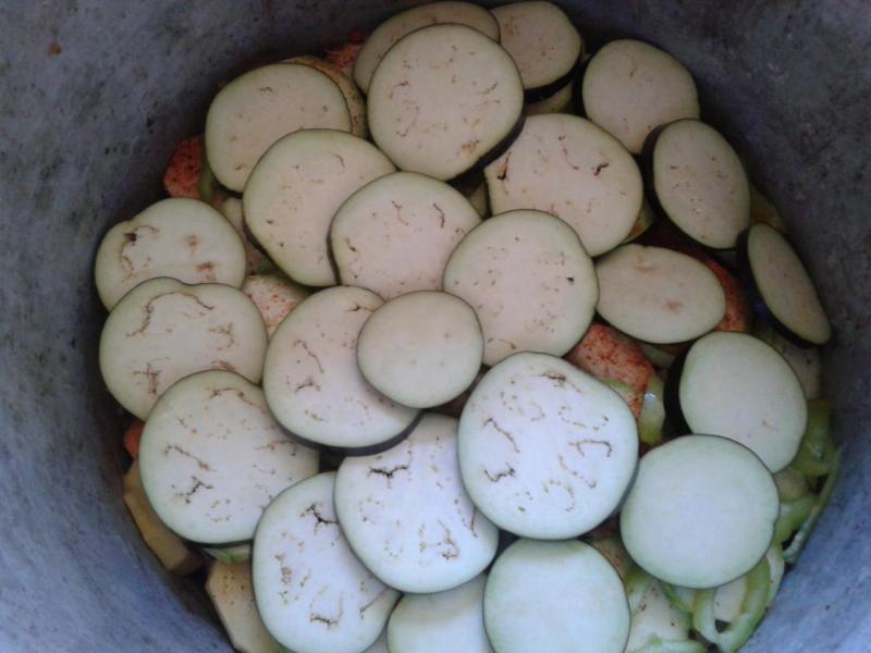 20150626_144456.jpg
