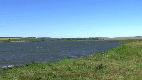 MOV006.gif