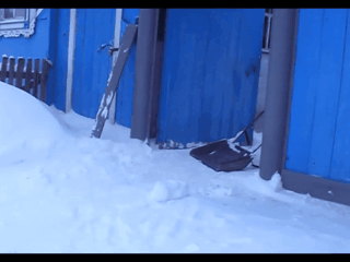 gif_1485009157 (1).gif