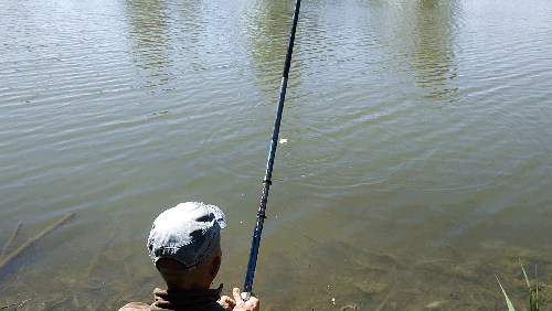 VID_20170604_110026.gif