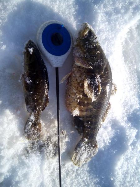IMG-20161030-WA0012.jpeg