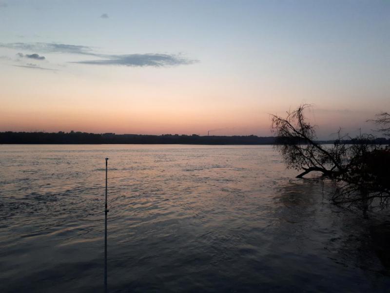 2017-08-05 21-38-04.JPG