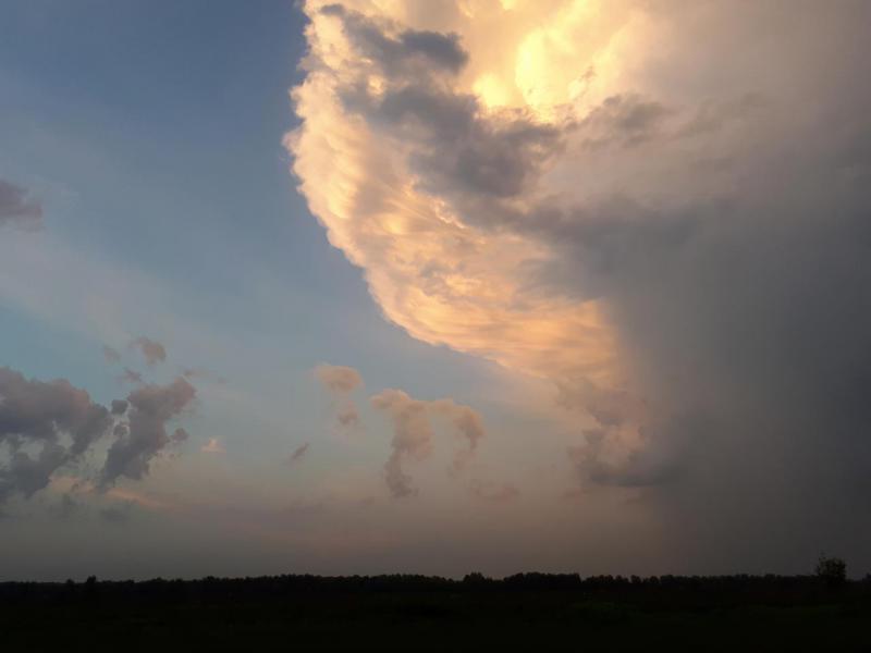 2017-08-05 21-17-07.JPG