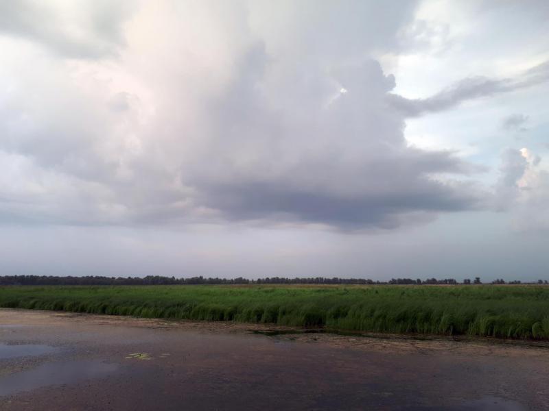 2017-08-05 21-02-04.JPG