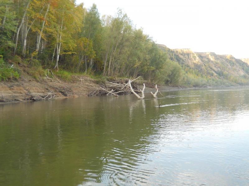DSCN1021.JPG
