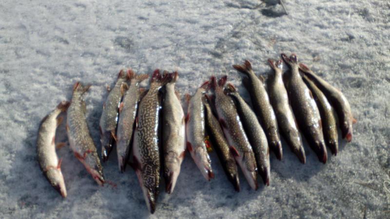 где хорошая рыбалка в казахстане