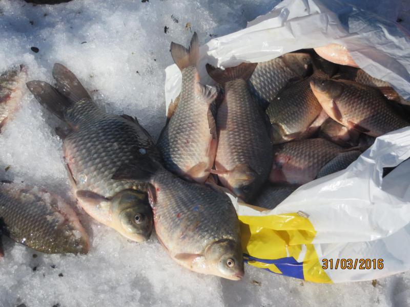 зима 2016 (рыбалка ) 051.jpg