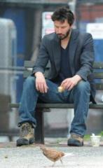 Фотография admin