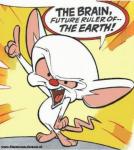 Фотография Archy