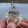 photo-thumb-1318.jpg?_r=1432810874