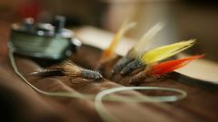 10380984 1464623327199562 8247621694887042143 N