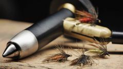 12088159 1480381205623774 7672456281951209629 N