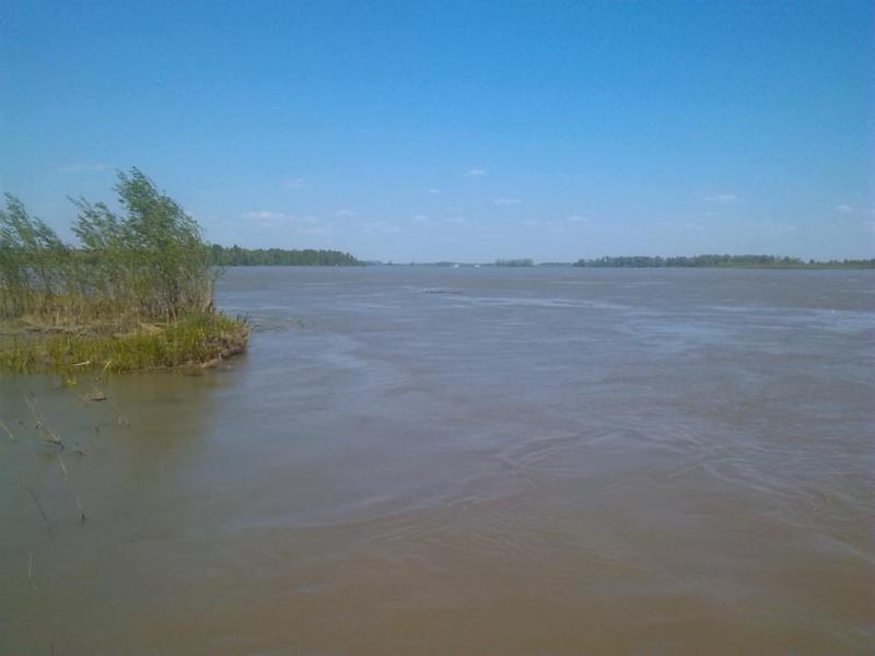 Прикрепленное изображение