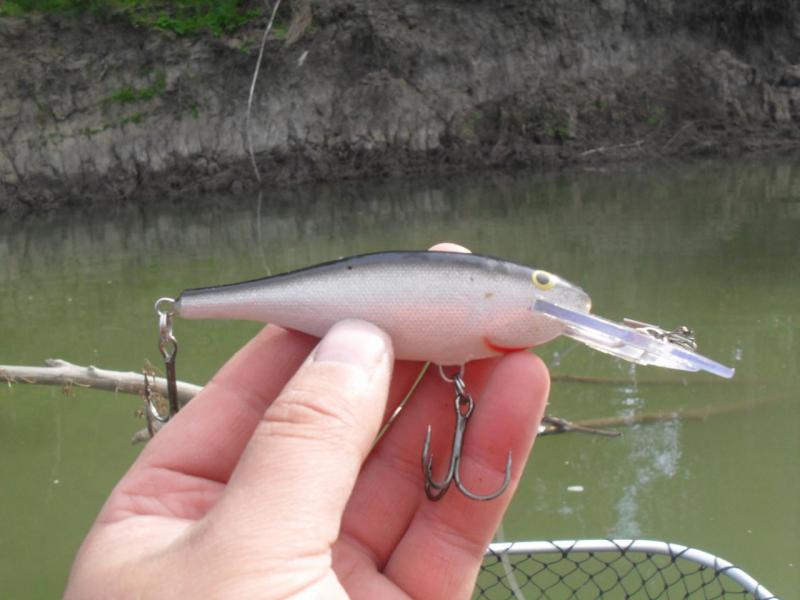 Прикрепленное изображение