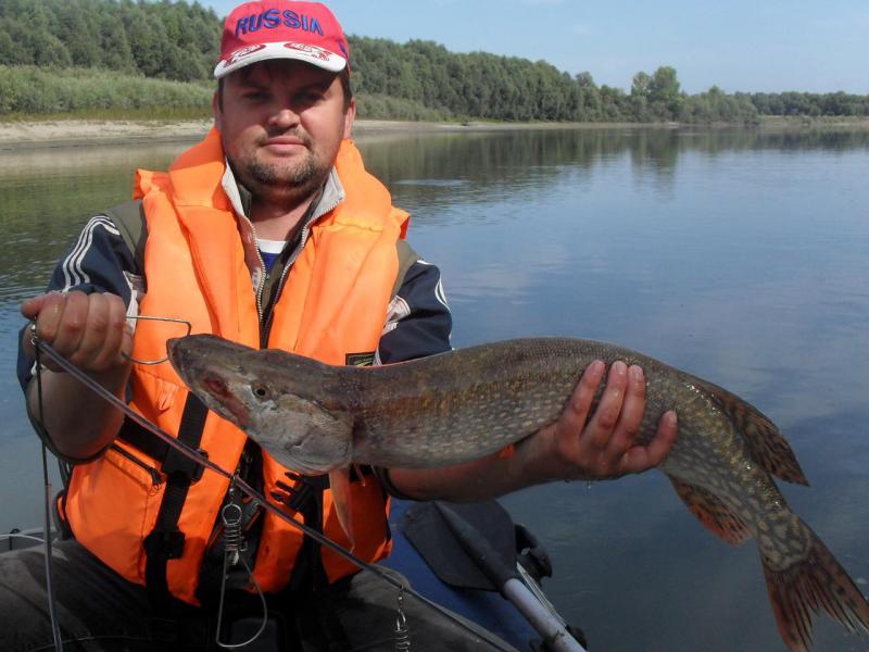 Прикрепленное изображение