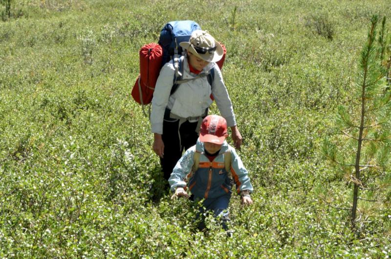 Прикрепленное изображение