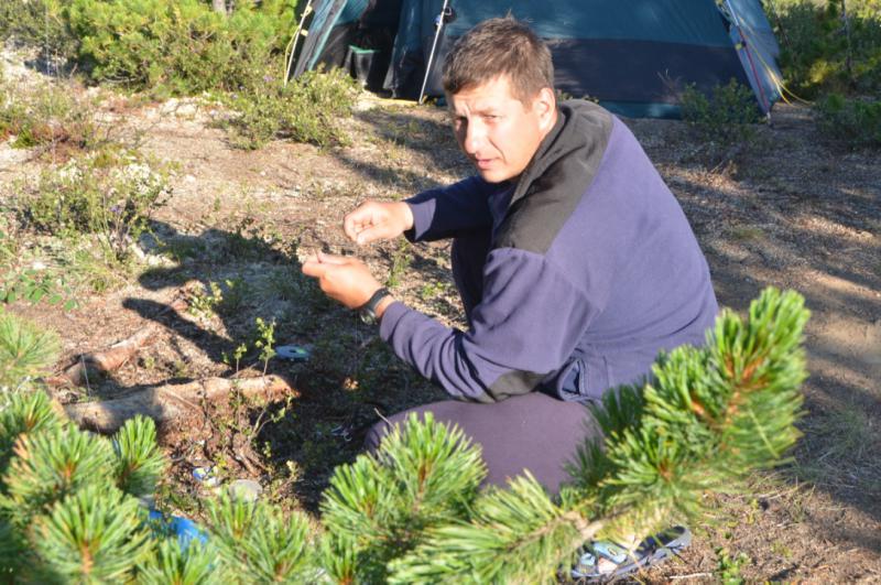 Прикрепленное изображение