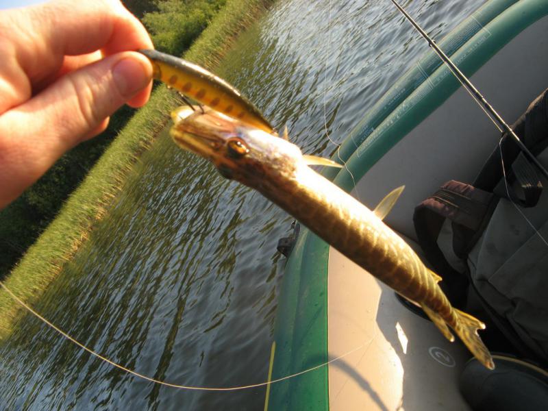 Прикрепленное изображение