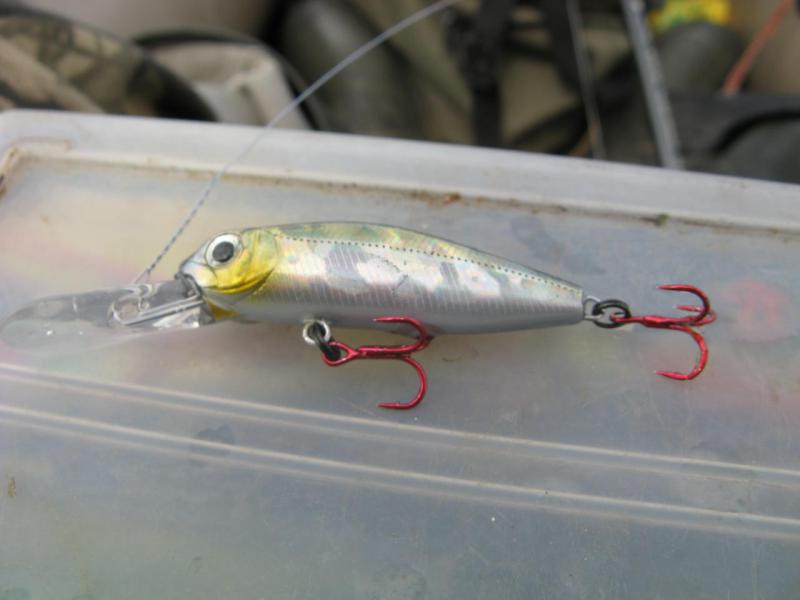 Прикрепленное изображение