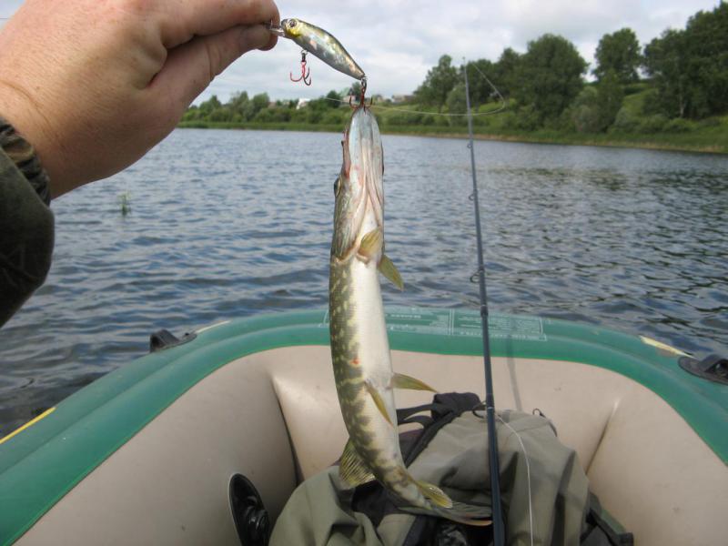 Прикрепленное изображение