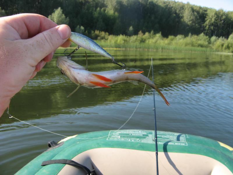 Прикрепленное изображение