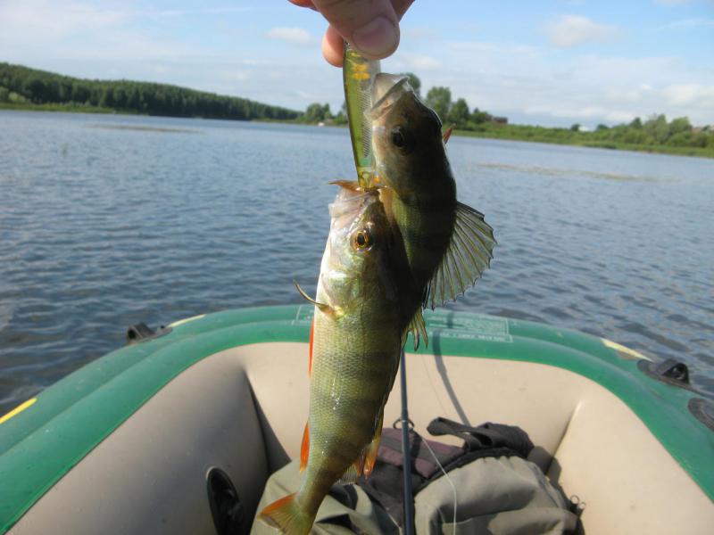 Прикрепленное изображение