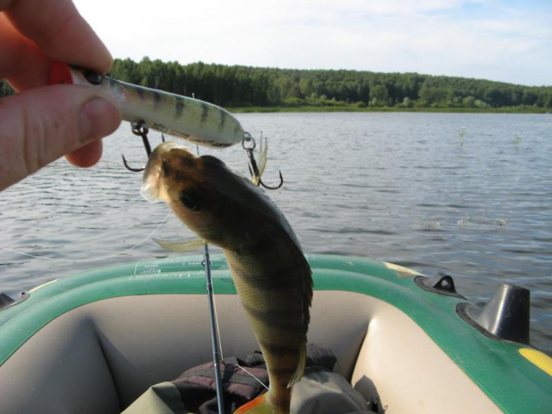 Прикрепленное изображение