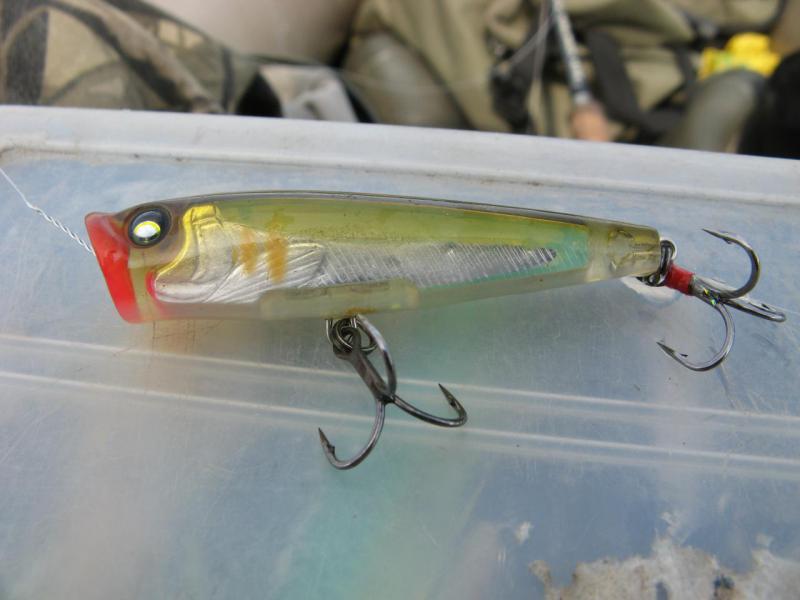 Прикрепленное изображение