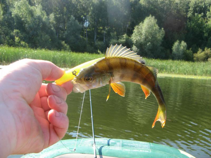 Прикрепленное изображение