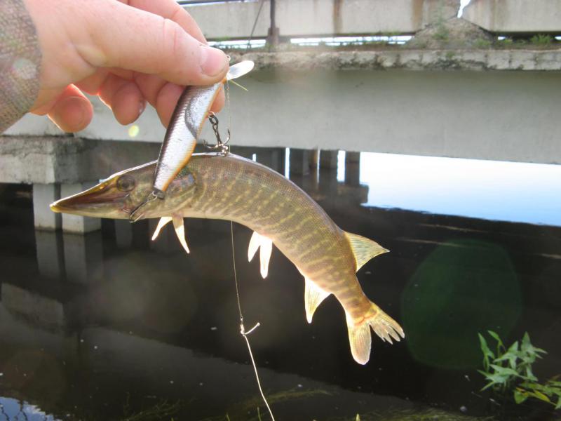 Прикрепленное изображение