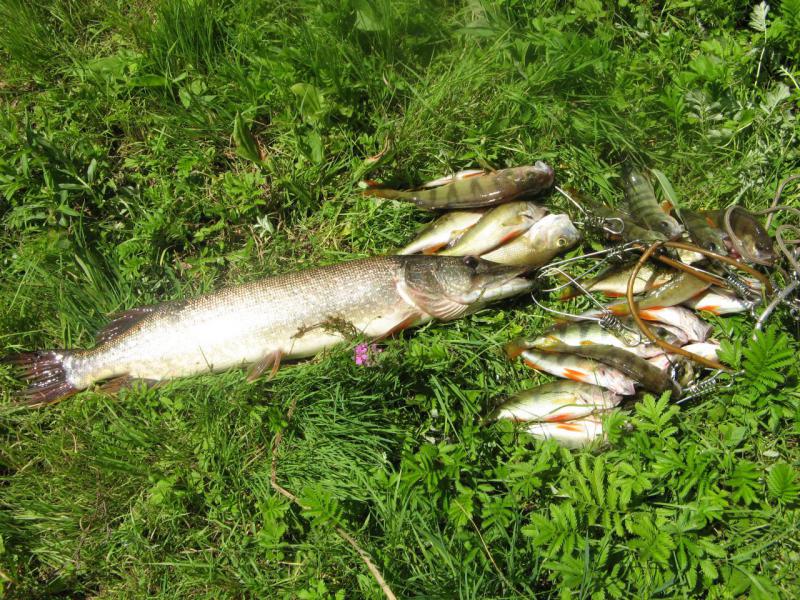 Прикрепленное изображение