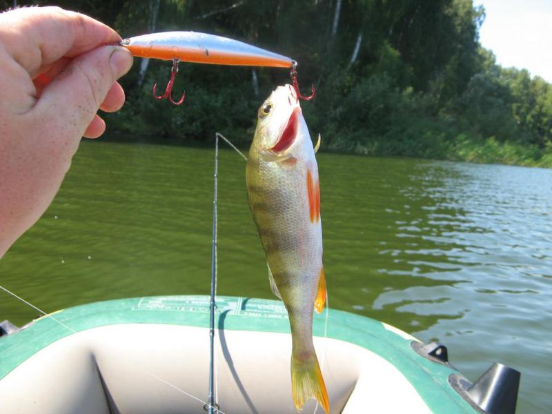 Прикрепленное изображение