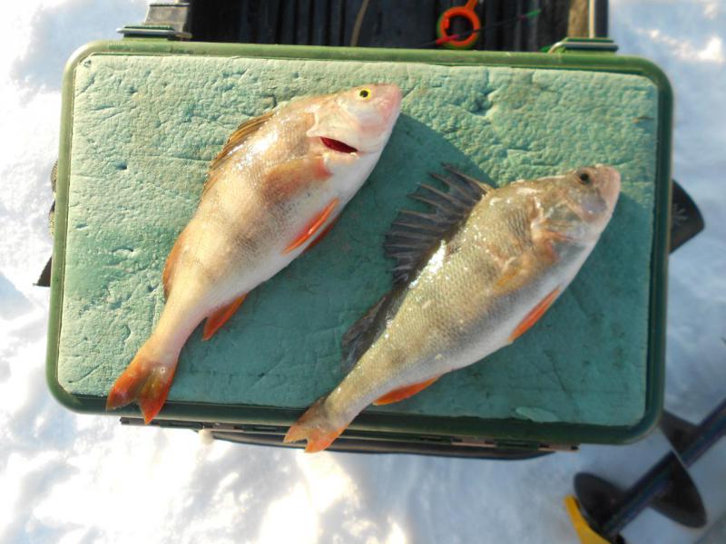 Прикрепленное изображение