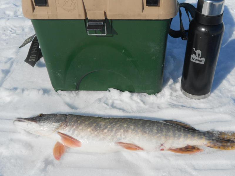 Прикрепленное изображение