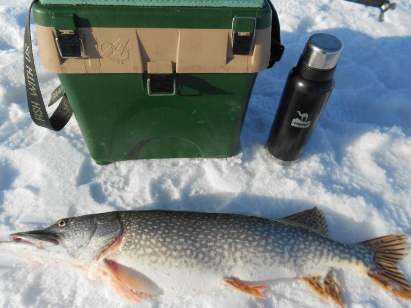 Прикрепленное изображение