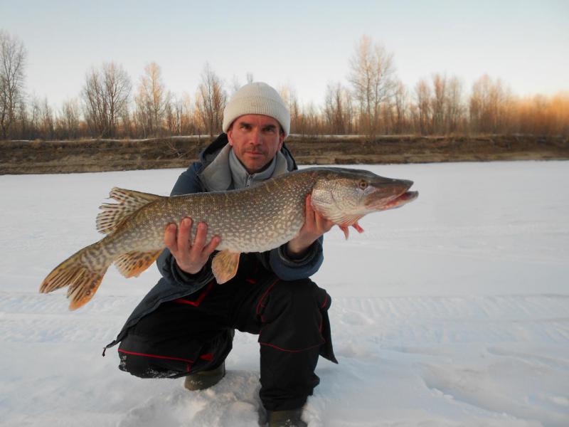 Прикрепленное изображение