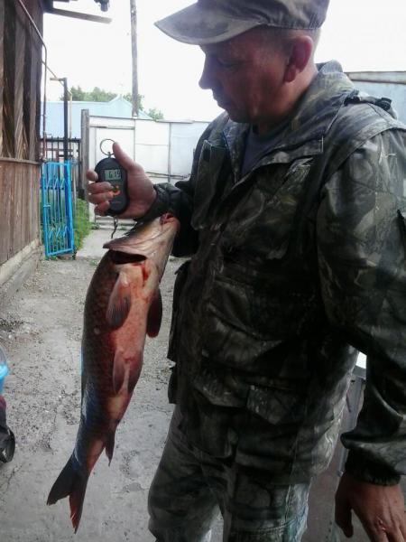 Прикрепленное изображение
