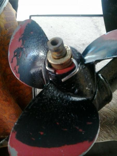 Прикрепленное изображение