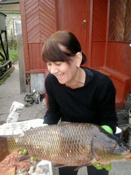 Прикрепленное изображение