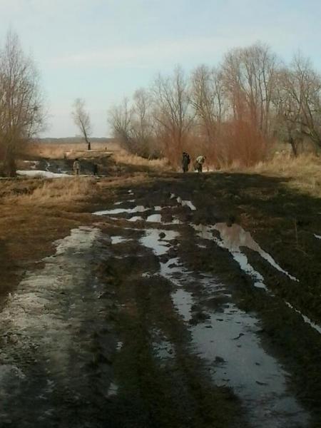 Прикрепленное изображение