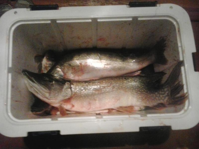 Прикрепленное изображение